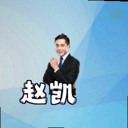 赵凯